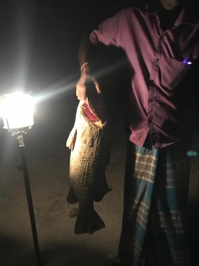 Reef Pasikudah Otel Nachivantivu Dış mekan fotoğraf